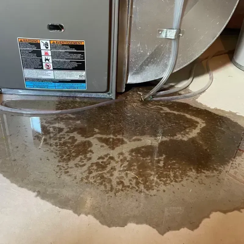 Appliance Leak Cleanup in Glasford, IL